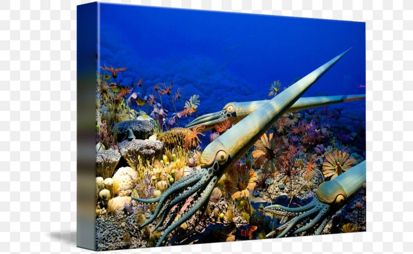 Prehistory Coral Reef Sea Prehistoric Art Marine Biology, PNG, 650x504px, Prehistory, Art, Coral Reef, Coral Reef Fish, Ecosystem Download Free