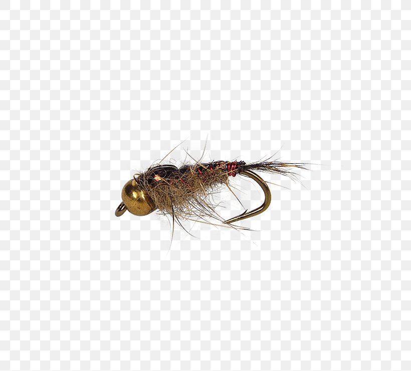 Artificial Fly Fly Fishing Nymph Pupa, PNG, 555x741px, Artificial Fly, Caddisfly, Fishing, Fishing Bait, Fly Download Free