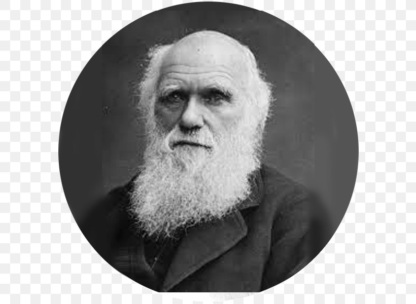 Charles Darwin The Voyage Of The Beagle On The Origin Of Species Darwinism Evolution, PNG, 600x600px, Charles Darwin, Beard, Biology, Black And White, Chin Download Free