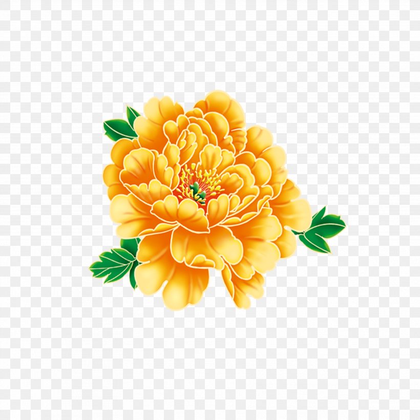 Flower, PNG, 3543x3543px, Flower, Chrysanths, Coreldraw, Cut Flowers, Dahlia Download Free