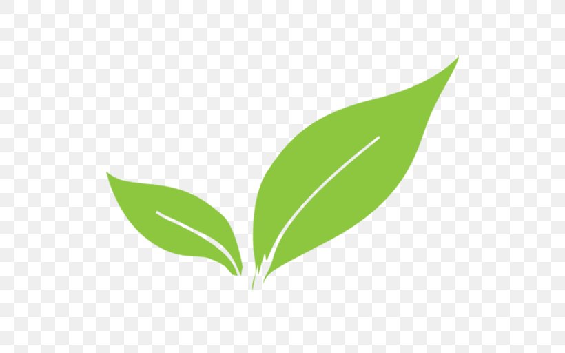 Leaf Plant Stem Europe 0, PNG, 512x512px, 2018, Leaf, Academy, City, Community Download Free