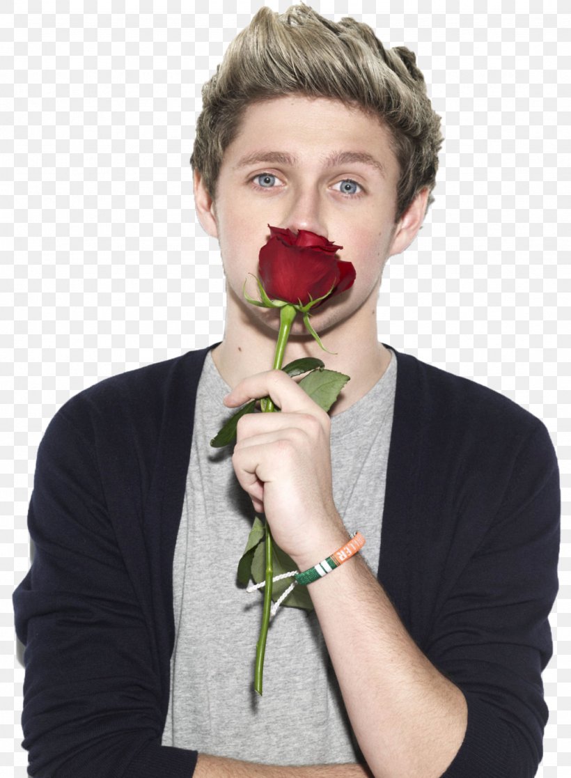 Niall Horan One Direction Photography, PNG, 1024x1396px, Watercolor, Cartoon, Flower, Frame, Heart Download Free