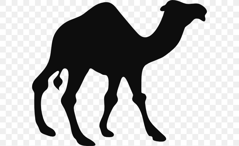 Camel Silhouette Black And White Clip Art, PNG, 600x501px, Dromedary, Black And White, Camel, Camel Like Mammal, Camel Train Download Free