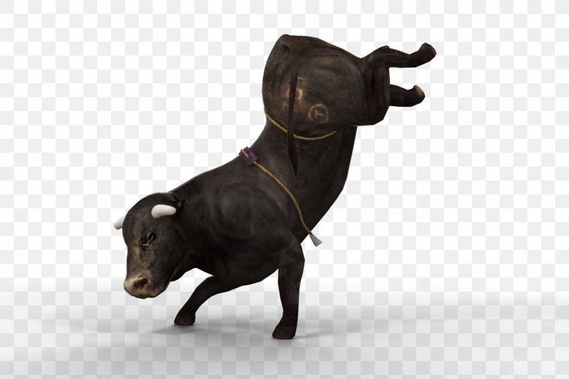 Cattle Professional Bull Riders Ox Bull Riding, PNG, 1500x1000px, 8 Seconds, Cattle, Asteroid, Built Ford Tough Series, Bull Download Free