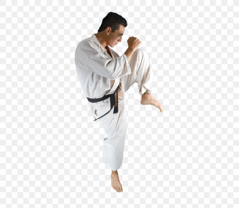 Dobok Karate Sleeve Costume Uniform, PNG, 2304x2007px, Dobok, Arm, Clothing, Costume, Japanese Martial Arts Download Free