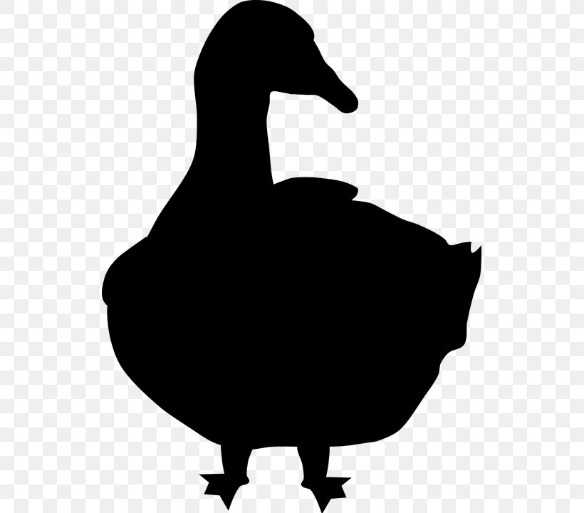 Goose Silhouette Clip Art, PNG, 533x720px, Goose, Animal, Beak, Bird, Black And White Download Free