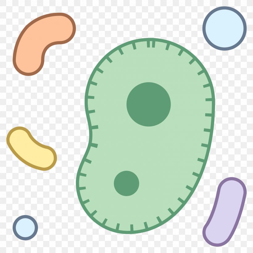 Microorganism Bacteria Icons8, PNG, 1600x1600px, Microorganism, Bacteria, Food, Green, Icons8 Download Free