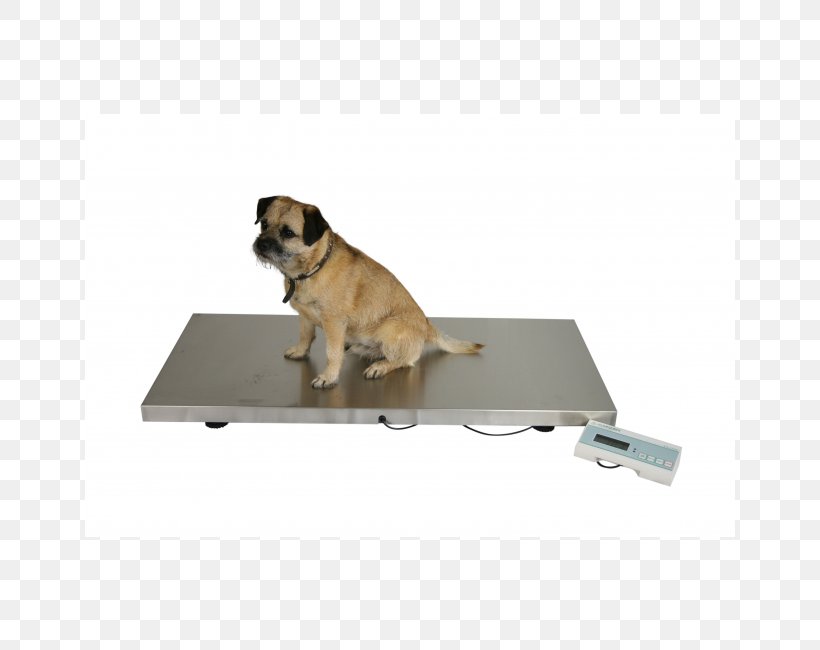 Pug Dog Breed Measuring Scales Veterinary Medicine Veterinarian, PNG, 650x650px, Pug, Accuracy And Precision, Animal, Bascule, Breed Download Free