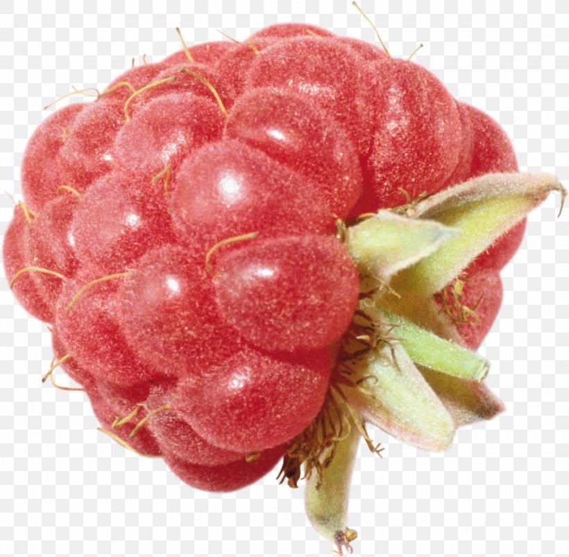 Raspberry Stock Photography Clip Art, PNG, 3210x3148px, Raspberry, Auglis, Berry, Food, Fruit Download Free