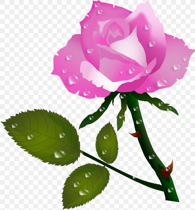 Rose Flower Color Clip Art, PNG, 3552x3840px, Rose, Color, Cut Flowers, Flower, Flowering Plant Download Free