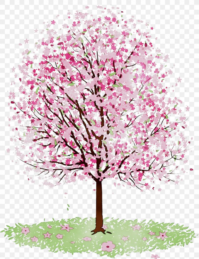 Amazon.com Cherry Blossom Amazon Kindle Fire HDX 7 Olak Alen, PNG, 1128x1469px, Amazoncom, Amazon Fire Tablet, Amazon Kindle, Amazon Kindle Fire Hdx 7, Blossom Download Free