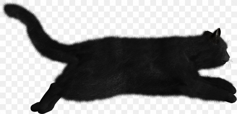 Black Cat Clip Art, PNG, 1024x493px, Cat, Animal Figure, Black, Black And White, Black Cat Download Free