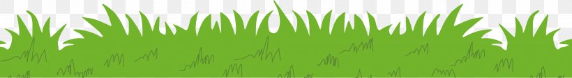 Vetiver Wheatgrass Lawn Meadow Wallpaper, PNG, 4154x576px, Vetiver, Chrysopogon, Chrysopogon Zizanioides, Computer, Grass Download Free