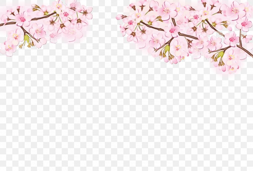 Floral Spring Flowers, PNG, 1480x1000px, Moth Orchids, Blossom, Branch, Branching, Cherries Download Free