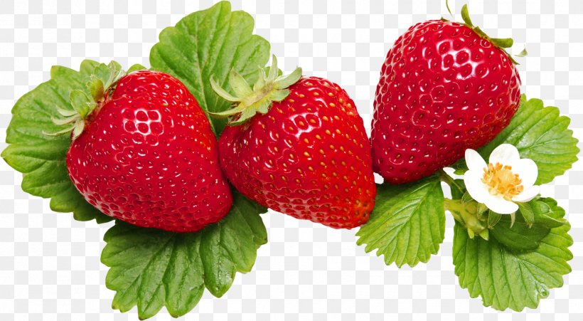 Fruit Auglis YouTube, PNG, 1806x995px, Fruit, Auglis, Berry, Computer Software, Diet Food Download Free