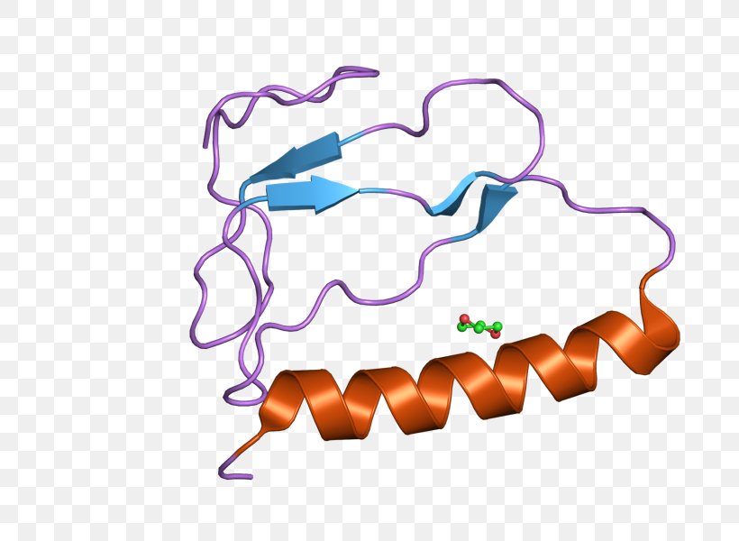 IGFBP1 Insulin-like Growth Factor-binding Protein Insulin-like Growth Factor Binding Protein 1, PNG, 800x600px, Insulinlike Growth Factor, Area, Binding Protein, Gene, Growth Factor Download Free