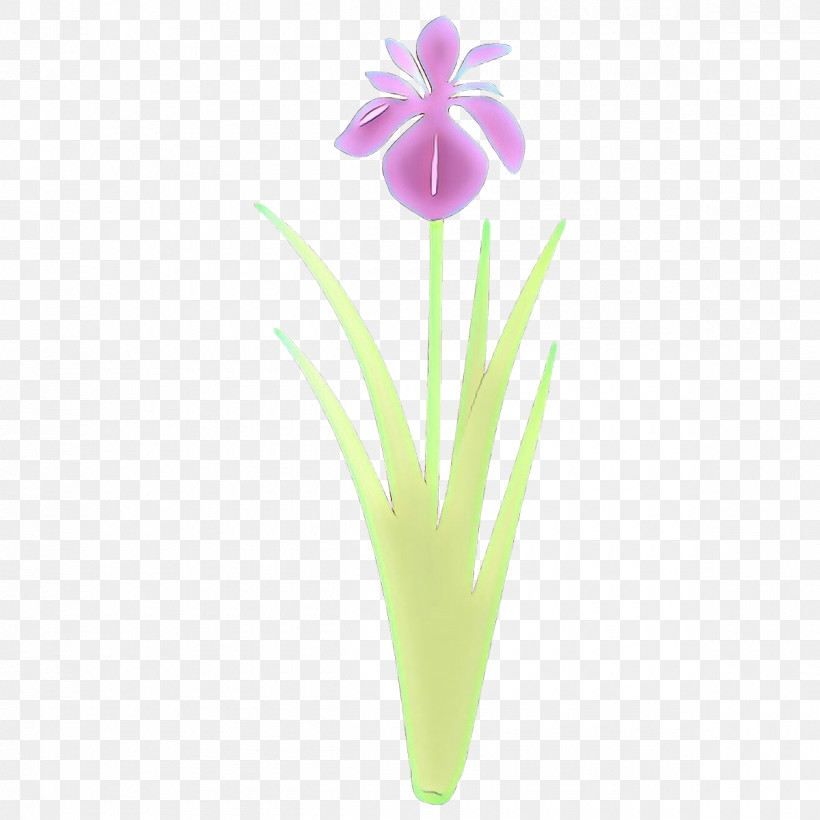 Flower Plant Petal Iris Tulip, PNG, 1200x1200px, Flower, Iris, Pedicel, Petal, Plant Download Free