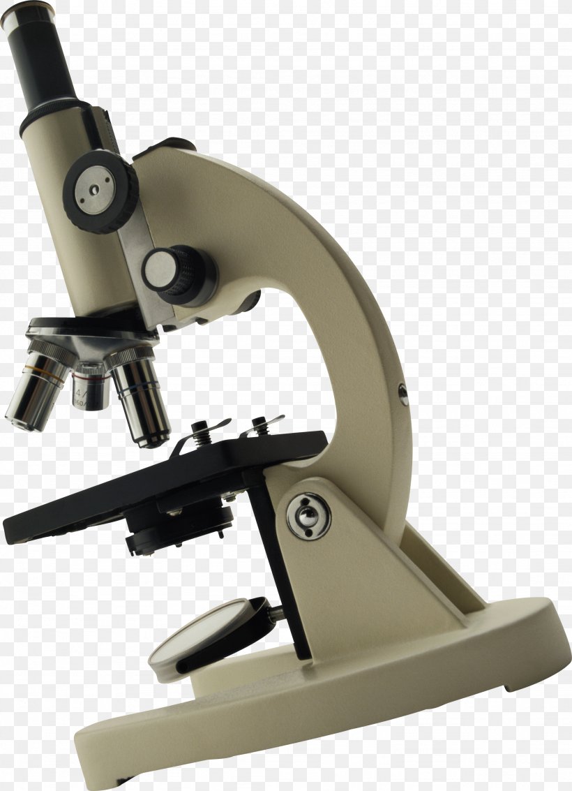 Optical Microscope Magnification, PNG, 2049x2832px, Blu Ray Disc, Bacteria, Digital Microscope, Electron Microscope, Microorganism Download Free