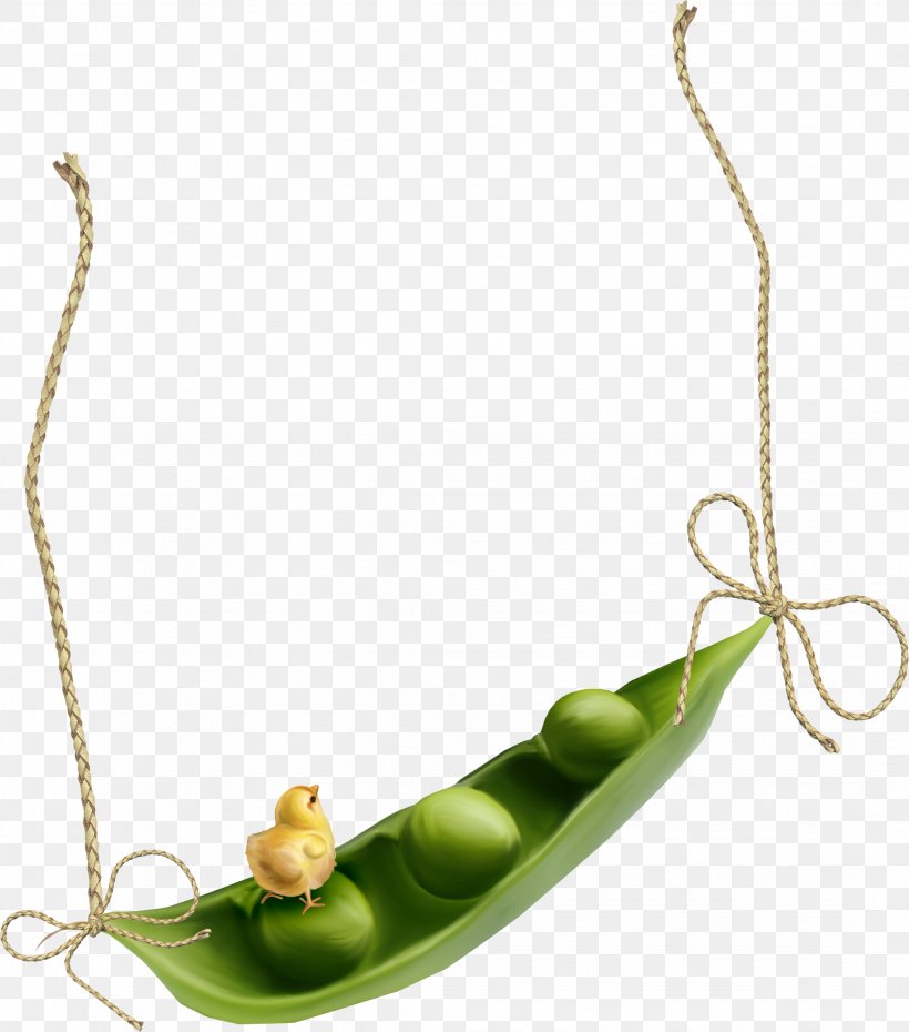 Snow Pea Mung Bean Green Bean Vegetable, PNG, 2158x2448px, Snow Pea, Bean, Common Bean, Green Bean, Jewellery Download Free