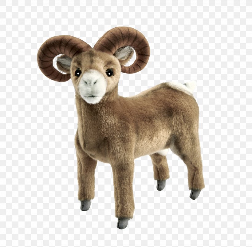 Argali Cattle Sheep Terrestrial Animal Snout, PNG, 2048x2007px, Argali, Animal, Bighorn, Cattle, Cattle Like Mammal Download Free