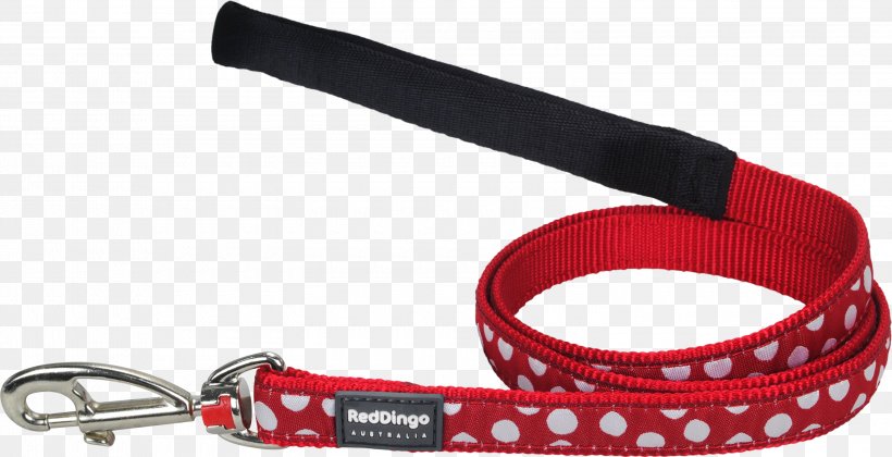 Dingo Chihuahua Leash Dog Collar, PNG, 3000x1537px, Dingo, Cat Litter Trays, Chihuahua, Collar, Dog Download Free
