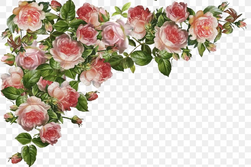 Garden Roses Centifolia Roses Clip Art, PNG, 1280x856px, Garden Roses, Artificial Flower, Centifolia Roses, Cut Flowers, Floral Design Download Free