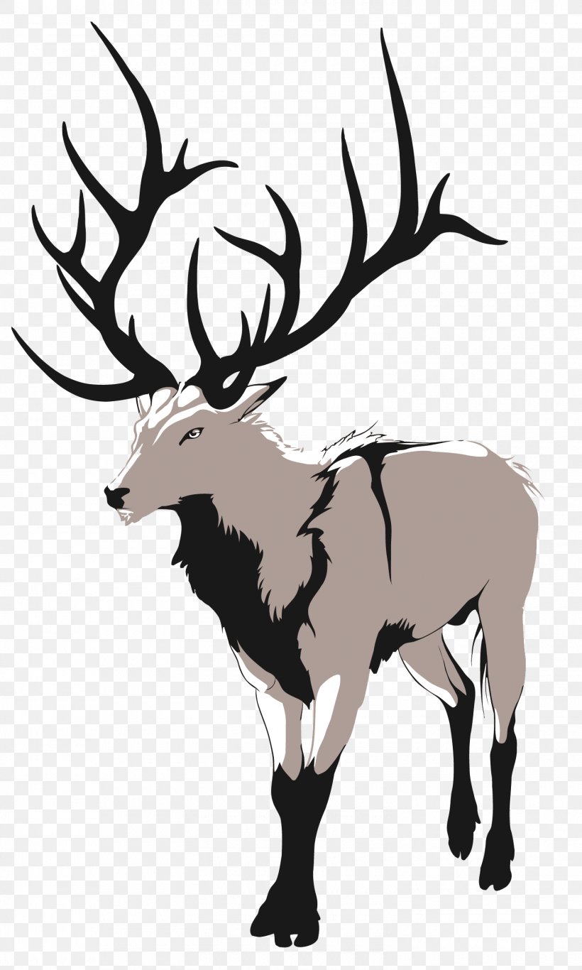 Red Deer Artemis Drawing, PNG, 1500x2500px, Deer, Animal, Antler, Art, Artemis Download Free