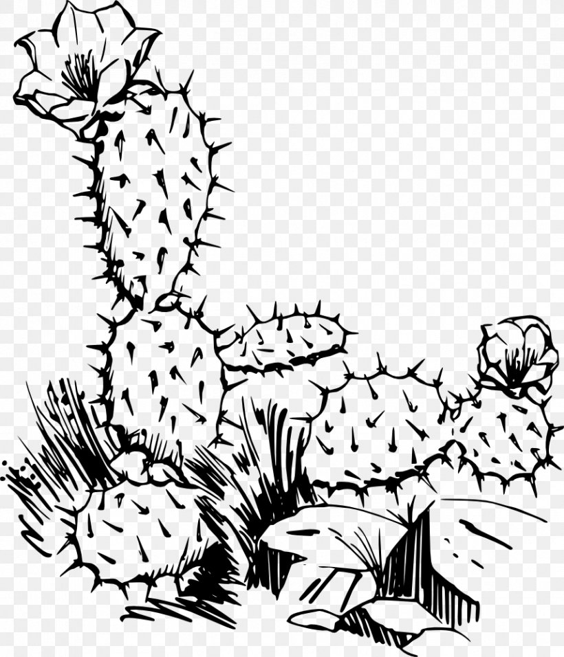 Cactaceae Saguaro Prickly Pear Clip Art, PNG, 857x1000px, Cactaceae, Area, Art, Artwork, Black Download Free