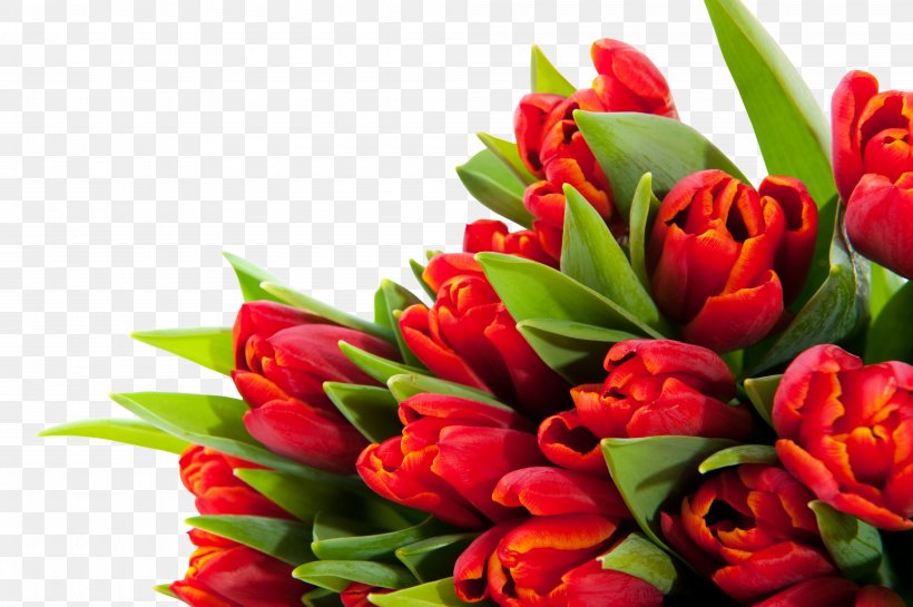 Flower Bouquet Download Wallpaper, PNG, 4000x2662px, Vologda, City, Court, Cut Flowers, Day Of Russian Culture Specialists Download Free