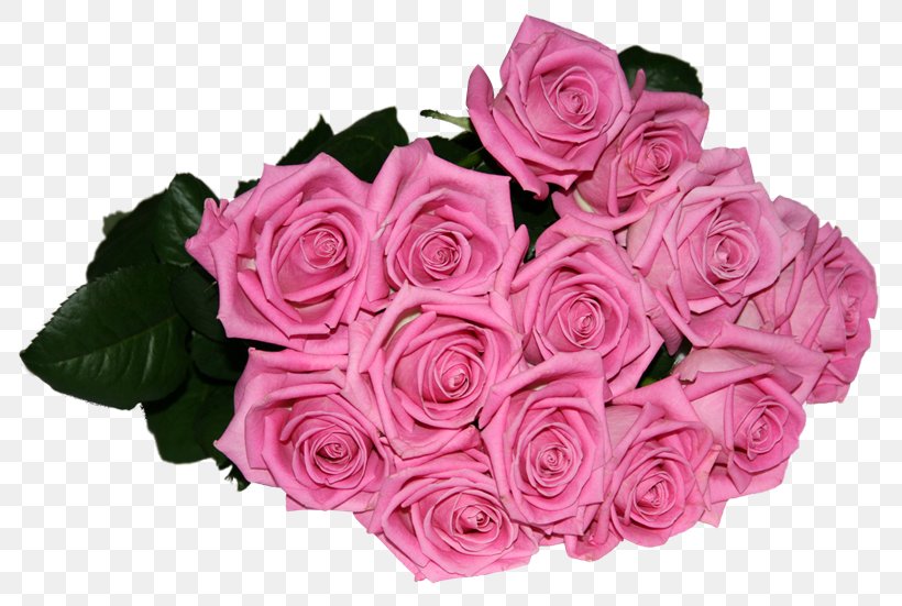 Garden Roses Pink Desktop Wallpaper Clip Art, PNG, 800x551px, Garden Roses, Artificial Flower, Birthday, Color, Cut Flowers Download Free