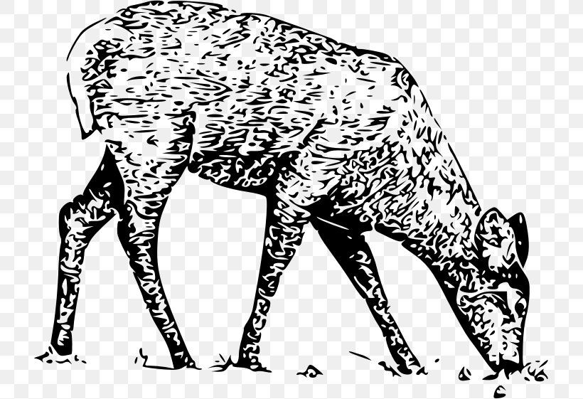 White-tailed Deer Canidae Moose Clip Art, PNG, 723x561px, Whitetailed Deer, Animal, Animal Figure, Antelope, Big Cats Download Free