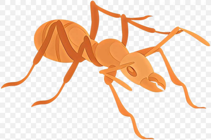 Ant Clip Art Image Vector Graphics, PNG, 3000x2001px, Ant, Animal Figure, Antman, Arthropod, Carpenter Ant Download Free