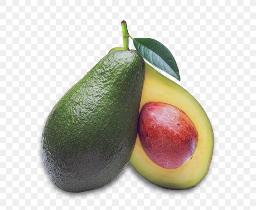 Avocado Food Fat Fruit Vitamin, PNG, 578x674px, Avocado, Accessory Fruit, Carbohydrate, Diet Food, Drink Download Free