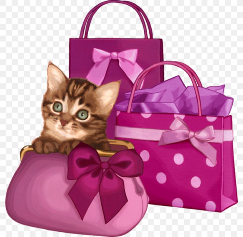 Background Birthday, PNG, 786x800px, Princess Aurora, Bag, Birthday, Blog, Cat Download Free