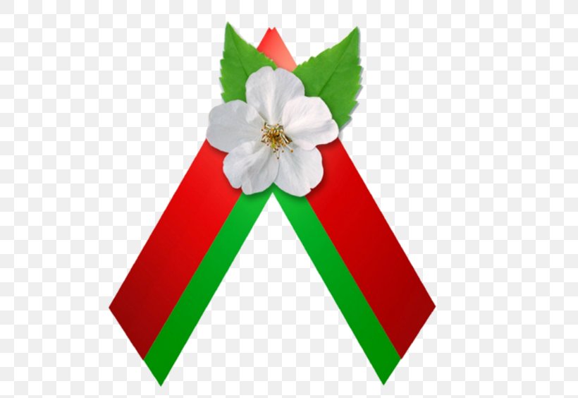 Baranavichy Victory Day Great Patriotic War Speckombinat KBO Up May, PNG, 800x564px, 2017, 2018, Baranavichy, Belarus, Christmas Ornament Download Free