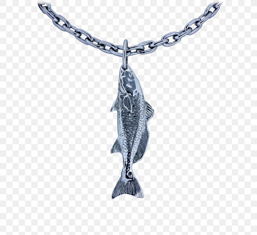 Charms & Pendants Necklace Silver Jewellery Chain, PNG, 750x750px, Charms Pendants, Body Jewellery, Body Jewelry, Casket, Chain Download Free