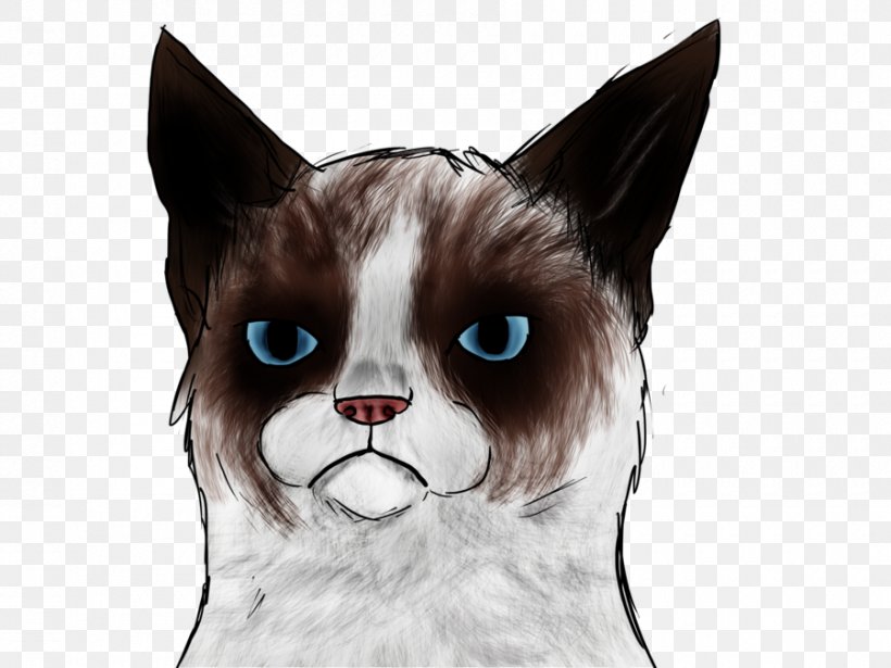 Grumpy Cat: A Grumpy Book Snowshoe Cat Kitten Manx Cat, PNG, 900x675px, Watercolor, Cartoon, Flower, Frame, Heart Download Free