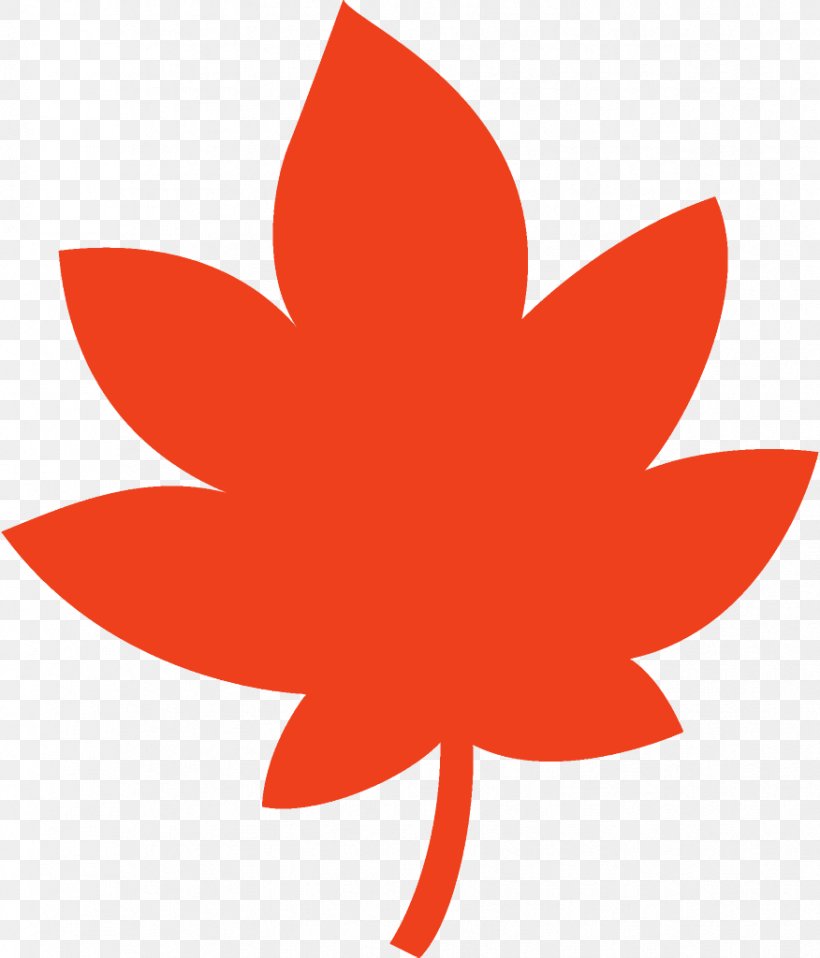 Maple Leaf Fallen Leaf Dead Leaf, PNG, 876x1024px, Maple Leaf, Autumn Leaf, Dead Leaf, Fallen Leaf, Flower Download Free