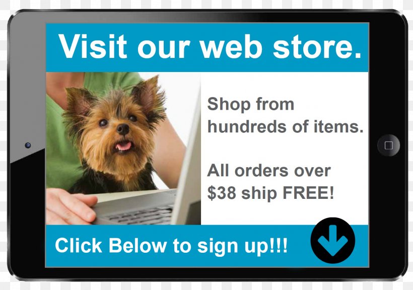 Yorkshire Terrier Dog Breed Big Creek Pet Hospital Puppy Horse, PNG, 1317x926px, Yorkshire Terrier, Advertising, Animal Shelter, Carnivoran, Dog Download Free