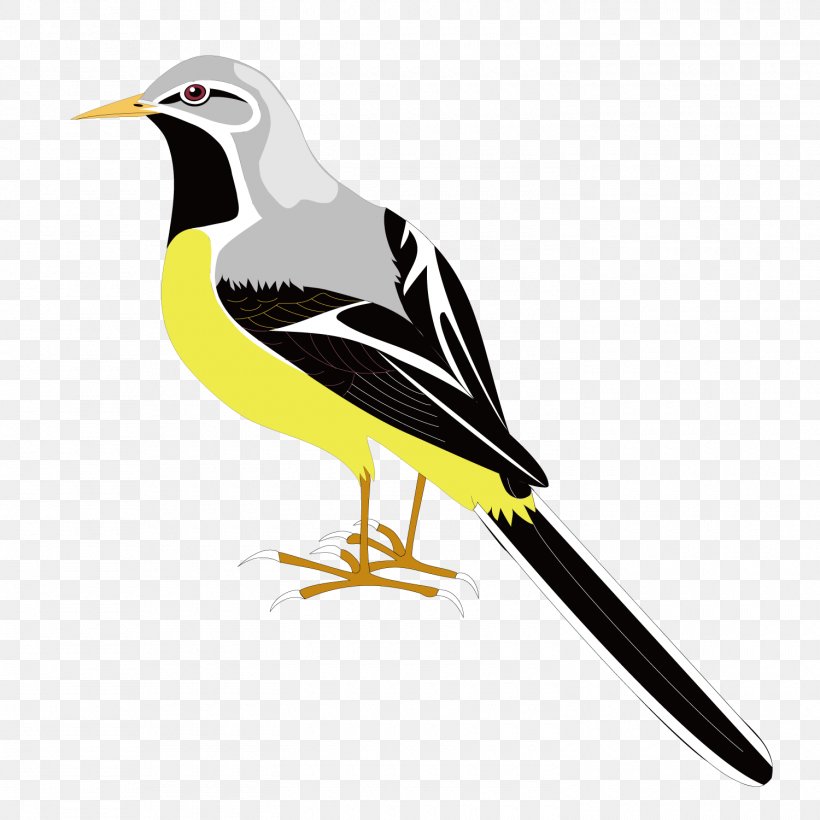 Bird Clip Art, PNG, 1500x1500px, Bird, Beak, Bird Flight, Bird Of Prey, Drawing Download Free