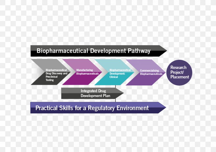 Drug Development Biologic Pharmaceutical Drug Pharmaceutical Industry Drug Discovery, PNG, 842x595px, Drug Development, Biologic, Biology, Brand, Business Download Free