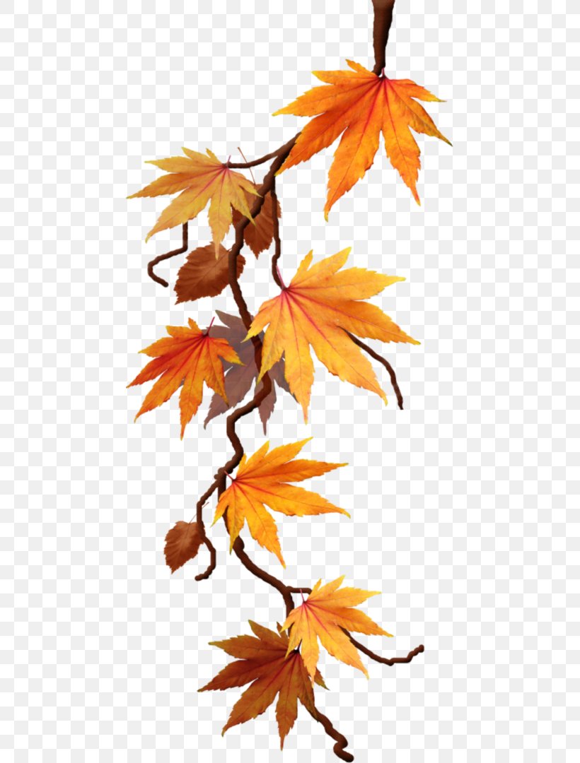 Clip Art Autumn Maple Leaf, PNG, 463x1080px, Autumn, Blog, Branch, Centerblog, Deciduous Download Free