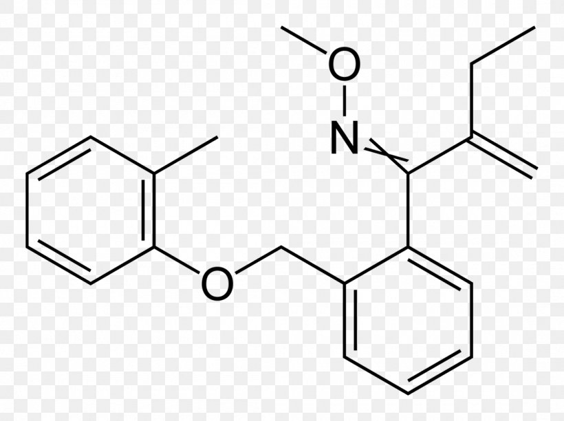 Hydrochloric Acid Chemistry CAS Registry Number Amino Acid, PNG, 1100x821px, Acid, Amino Acid, Area, Black And White, Borate Download Free