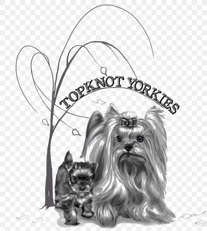 Yorkshire Terrier Skye Terrier Dog Breed Toy Dog, PNG, 3071x3433px, Yorkshire Terrier, Black And White, Breed, Breed Standard, Breeder Download Free