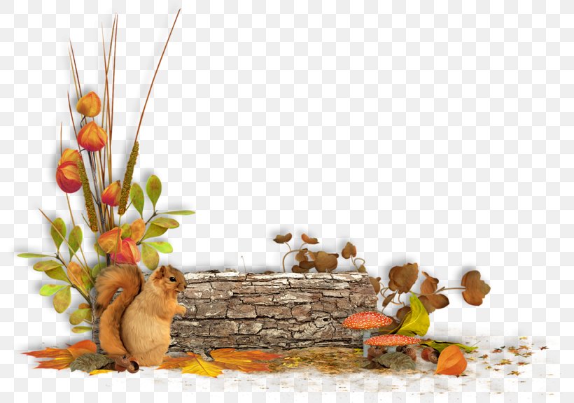 Autumn .de Blog .gr Clip Art, PNG, 800x576px, Autumn, Blog, Branch, Com, Email Download Free