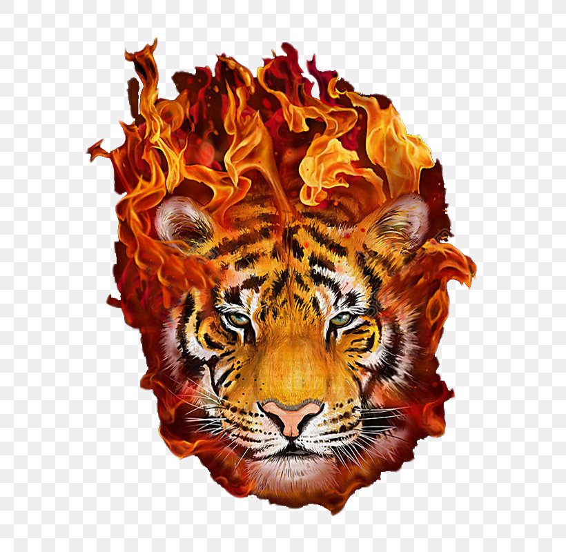 Baby Tigers Art Painting Flame, PNG, 800x800px, Tiger, Art, Baby Tigers, Big Cats, Canvas Download Free