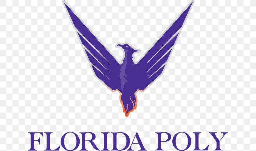 Florida Polytechnic University University Of Central Florida Phoenix Students' Union, PNG, 640x483px, Florida Polytechnic University, Beak, Bird, Brand, College Download Free