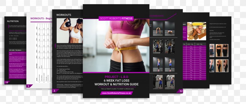 Lose Your Belly Fat Within Days: The Deposition Of Fat In The Belly Area Can Easily Be Removed By This Strategy Brand Display Advertising Ketosis Abdominal Obesity, PNG, 2934x1244px, Brand, Abdominal Obesity, Adipose Tissue, Advertising, Display Advertising Download Free