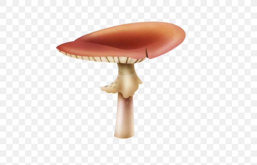 Mushroom Shiitake, PNG, 600x527px, Mushroom, Cartoon, Fungus, Shiitake, Table Download Free