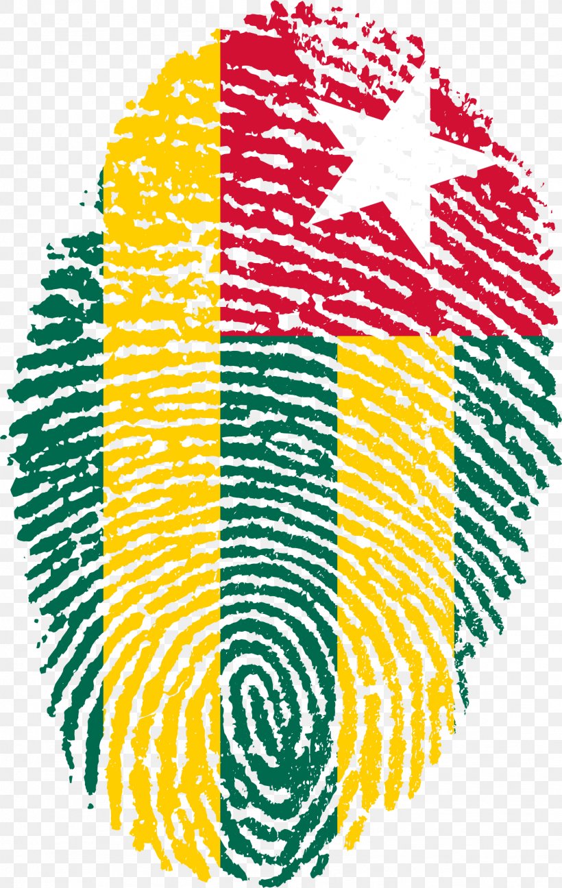 Somalia Nation United States Of America Fingerprint Country, PNG, 1573x2488px, Somalia, Area, Country, Fingerprint, Flag Download Free